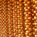 산지골민박 이미지