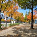 부천실업고 이미지