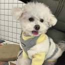 준독라운지 이미지