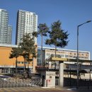 옥길힐공인중개사사무소 | 옥길라인공인중개사사무소 옥길데시앙 옥길버들초 옥길중과 가까워요