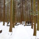 어르신돌봄센터 이미지