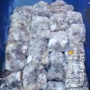 쭈꾸미스타 이미지