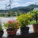 코나코코커피 이미지