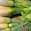 서진농장 이미지