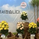 대구화훼 이미지