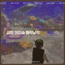 부산 아이랑 가볼만한 곳｜금정 아이숲 들락날락 이용 후기