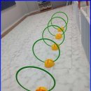 킹스키즈 개린이집 | 인천부평애견유치원 강아지의 체력관리와 행복한 하루를 선물하는 킹스키즈개린이집