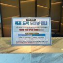 파란바다약국 | [국내/제주] 내 차로 제주 여행 출도편 제주 목포 배편 차량선적