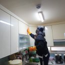 울산 입주청소 비용 이사청소 전문 업체 차이는
