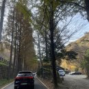 24시카센타 이미지