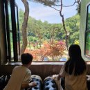 서울근교 아이와 여행 수영장 리조트 추천 프로방스 율암 숙박 후기