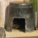 대림어린이공원 동물 | 어린이대공원 광진구 벚꽃 동물원 방문 팁 후기 동물 낮잠 시간 피하는 법