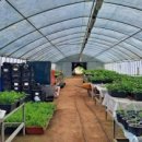 와이즈팜 이미지