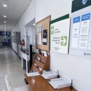 애플아일랜드 | 수원 스포츠아일랜드 프리다이빙 후기