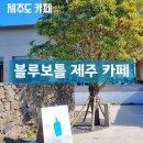 곱닥한가 | 제주도 블루보틀 제주 카페 이용 후기