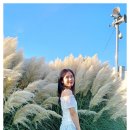 대저 이미지