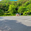 금화애견 | 대구 근교 팔공산 아이랑 가기 좋은 수심 얕은 금화계곡 주차 화장실 애견동반