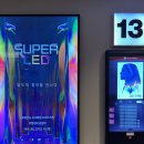 특허법인주연케이알피 | [검은 수녀들] 검은 수녀들 솔직 후기!(스포 있음)