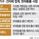 펫테리 이미지