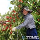 밀양꾸지뽕 영농조합법인 이미지