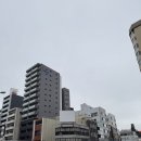 스시판다 | [일본여행] 나고야 우정여행 3박 4일 - 2일차 후기 - ① (스시로부터 나바나노사토 일루미네이션!)