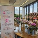 죽전화훼 이미지
