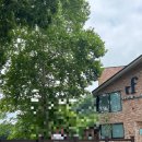 포레드노드 이미지