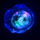 SAI MEDICAL 이미지