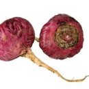 마카 트레이닝 이미지