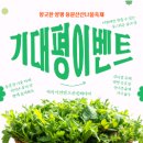 수랏상 - 순천시 | 1시 퇴근하고 달려간 ‘양평 용문산 산나물 축제’ 🌿 수랏상 받고 힐링한 후기 (2026)
