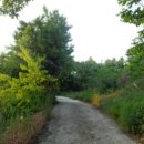 덕진-133 이미지