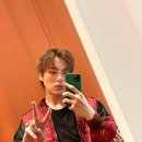 예쁜강쥐 이미지