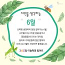 숲에온어린이집 이미지