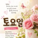 언제나토요일