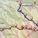 다리안 주차장 이미지