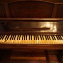 버스정류소_동교동삼거리 이미지