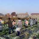 평동농장 이미지