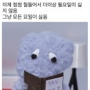 24년 7월 나머지 일상 마무리 (feat. 속초 당일치기)