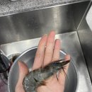 생새우 대하구이 택배 거북왕수산 내돈내산 대만족 후기