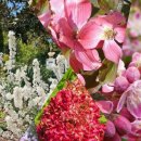 고양대로1432번길 이미지