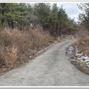 태흥목장 이미지