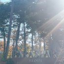 둘째 태교여행 28개월 아기와 호캉스 파라스파라 캐빈 주니어 키즈룸