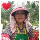 선홍농장 이미지