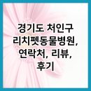 리치펫동물병원 이미지