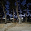 비치캐슬 | 감포 펜션 경주 비치캐슬에서 가족과 보낸 바다 앞 힐링 휴가 후기