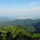 천지봉농장 이미지