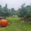 신정현농장 이미지