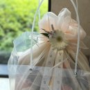 온기청과 이미지