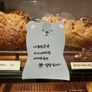 홀브라운대구