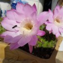 이병주농장 이미지